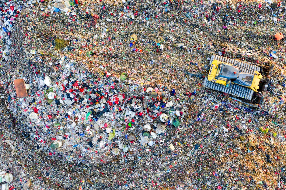 https://wastedisposalwestkensington.co.uk/blog/small-rubbish-loads-disposal-near-olympia-west-kensington/