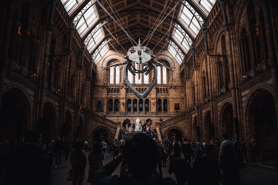 Inside the grand, historic interior of a museum or gallery with high, arched glass ceiling supported by metal framework, featuring ornate brickwork and decorative architectural details. A large, suspended skeleton of a whale or large marine animal is displayed in the central upper area, with visible vertebrae and skull, hanging from thin cables. The space is populated with visitors, some standing and observing, others walking around on the polished stone floors near the wide staircase leading to the upper level, where more visitors are gathered. The warm, natural daylight filters through the expansive glass roof, illuminating the interior's intricate brickwork and casting soft shadows. This scene exemplifies a preserved historic building repurposed for public exhibitions, aligning with professional waste management practices that support safe and clean cultural spaces, reflecting efforts like those of waste disposal services in maintaining cleanliness in public and institutional environments.